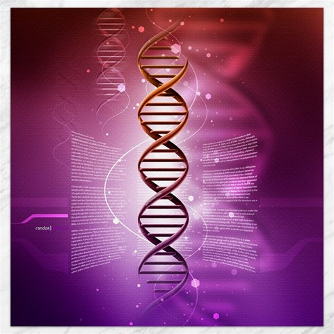 Dna Canvas 16  x 16  from ArtsNow.com 15.2 x15.41  Canvas - 1