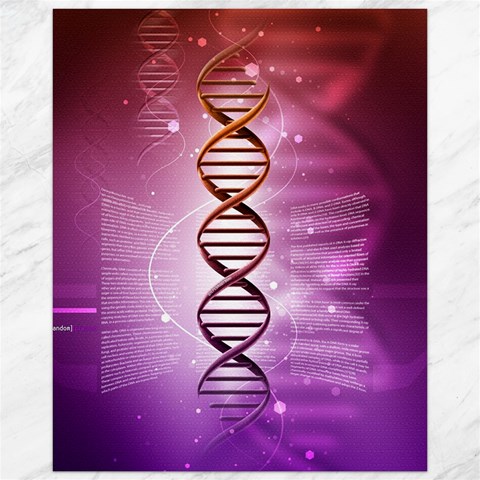 Dna Canvas 16  x 20  from ArtsNow.com 15.75 x19.29  Canvas - 1