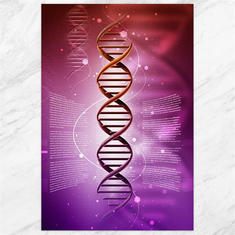 Dna Canvas 24  x 36  from ArtsNow.com 23.35 x34.74  Canvas - 1