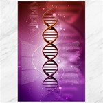 Dna Canvas 24  x 36 