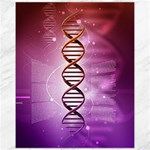 Dna Canvas 11  x 14 