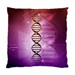 Dna Standard Cushion Case (Two Sides)
