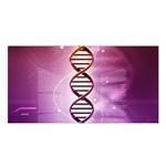 Dna Satin Shawl