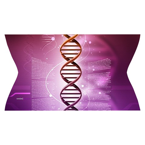Dna Yoga Cropped Leggings from ArtsNow.com Waistband Front