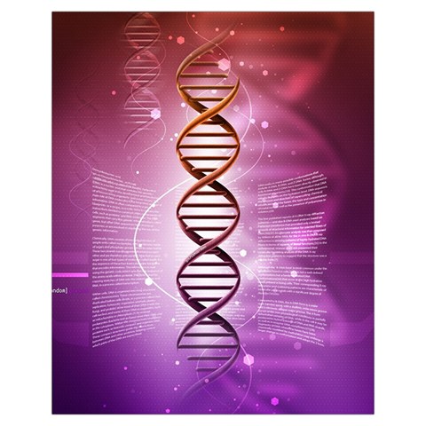 Dna Drawstring Pouch (XL) from ArtsNow.com Front