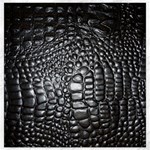 Black Alligator Leather Pattern Canvas 16  x 16 