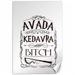 Avada Kedavra Bitch Harry  Potter Canvas 12  x 18 