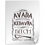 Avada Kedavra Bitch Harry  Potter Canvas 18  x 24 