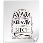 Avada Kedavra Bitch Harry  Potter Canvas 20  x 24 
