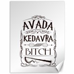 Avada Kedavra Bitch Harry  Potter Canvas 36  x 48 