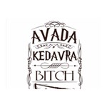 Avada Kedavra Bitch Harry  Potter Double Sided Flano Blanket (Mini)
