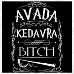 Avada Kedavra Bitch Harry Potter Canvas 16  x 16 