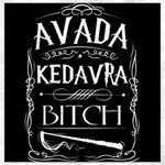 Avada Kedavra Bitch Harry Potter Canvas 20  x 20 