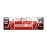 Feyenoord Rotterdam football club FC Logo Sticker Bumper (10 pack)