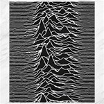 Joy Division Unknown Pleasures Pattern Canvas 8  x 10 