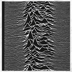 Joy Division Unknown Pleasures Pattern Canvas 16  x 16 