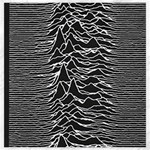 Joy Division Unknown Pleasures Pattern Canvas 20  x 20 