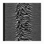 Joy Division Unknown Pleasures Pattern Medium Glasses Cloth