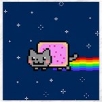 Nyan Cat Canvas 12  x 12 