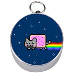 Nyan Cat Silver Compass