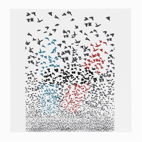 Twenty One Pilots Birds Medium Glasses Cloth from ArtsNow.com Front
