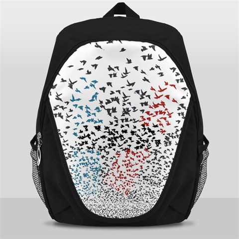 Twenty One Pilots Birds Backpack Bag from ArtsNow.com Front