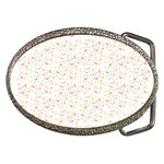Sprinkles Shawl Belt Buckle