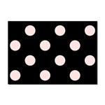 Polka Dots - Misty Rose Pink on Black Sticker A4 (100 pack)