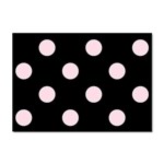 Polka Dots - Piggy Pink on Black Sticker A4 (10 pack)