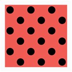 Polka Dots - Black on Pastel Red Medium Glasses Cloth (2 Sides)