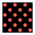 Polka Dots - Pastel Red on Black Medium Glasses Cloth