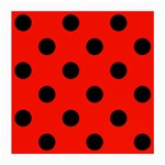 Polka Dots - Black on Ferrari Red Medium Glasses Cloth (2 Sides)