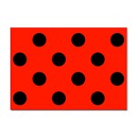 Polka Dots - Black on Ferrari Red Sticker A4 (10 pack)