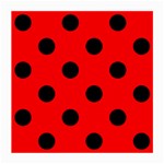 Polka Dots - Black on Red Medium Glasses Cloth (2 Sides)