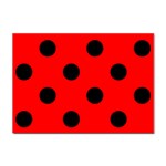 Polka Dots - Black on Red Sticker A4 (100 pack)