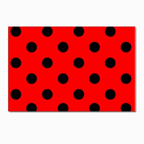 Polka Dots Front