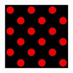 Polka Dots - Red on Black Medium Glasses Cloth
