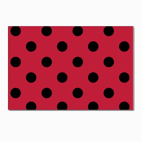 Polka Dots Front