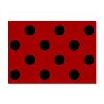 Polka Dots - Black on Dark Candy Apple Red Sticker A4 (100 pack)