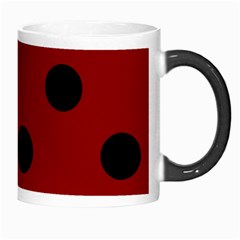 Polka Dots Right