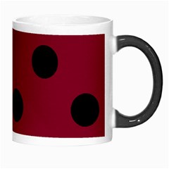 Polka Dots Right