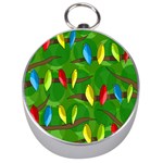 Parrots Flock Silver Compasses