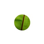 Ensete leaf 1  Mini Buttons