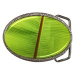 Ensete leaf Belt Buckles