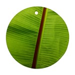 Ensete leaf Round Ornament (Two Sides) 
