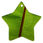 Ensete leaf Star Ornament (Two Sides) 