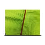 Ensete leaf Small Doormat 