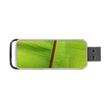 Ensete leaf Portable USB Flash (Two Sides)