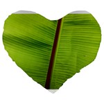 Ensete leaf Large 19  Premium Heart Shape Cushions