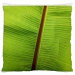 Ensete leaf Standard Flano Cushion Case (One Side)